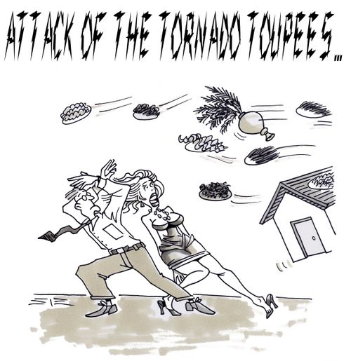 Toupee Attack
