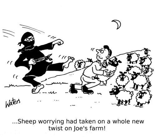 ...Sheep worrying had taken on a whole new meaning on Joe's farm!