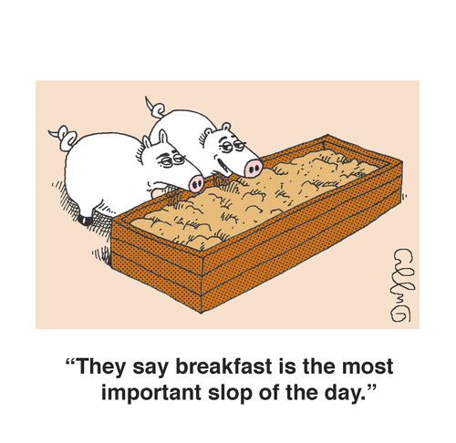 'They say breakfast is the most important slop of the day.'