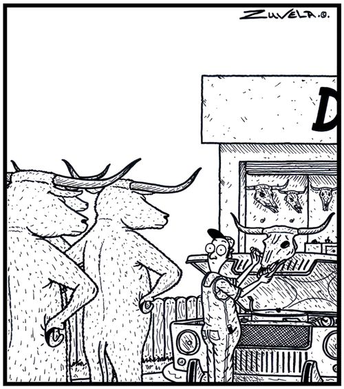 A group of Angry Steer Bulls have finally found the person who is selling the skulls of their former friends for car bonnet