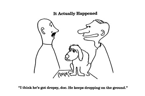 'I think he's got dropsy, doc. He keeps dropping on the ground.'
