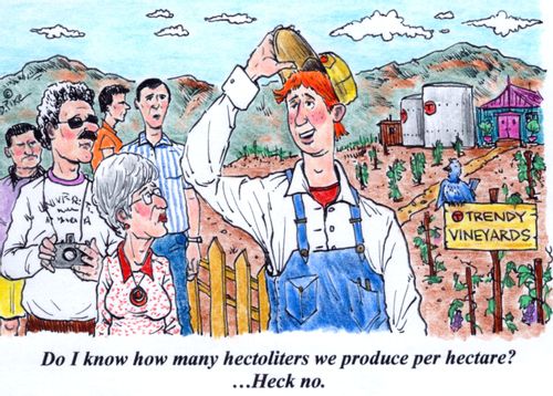 'Do I know how many hectoliters we produce per hectare? ...Heck no.'