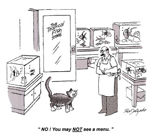 'No you may NOT see a menu.'