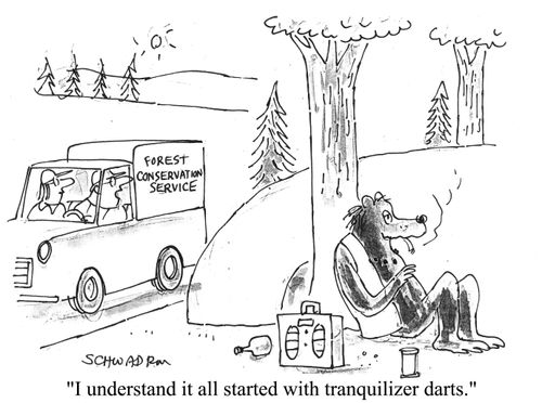 "I understand it all started with tranquilliser darts."