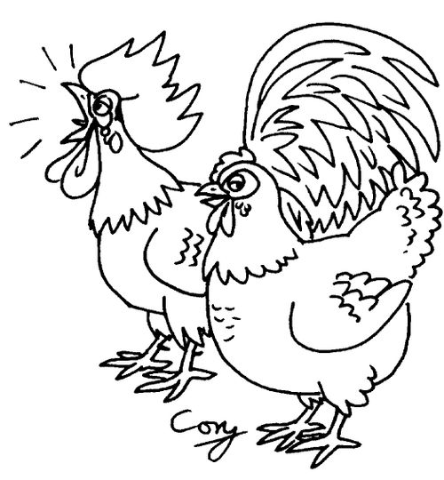 Cockerel and hen