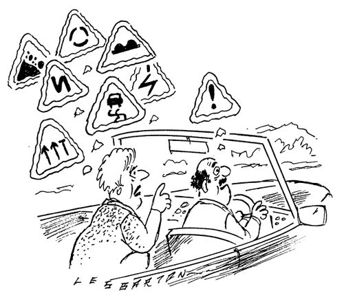 Driving Instructions/Backseat Driver