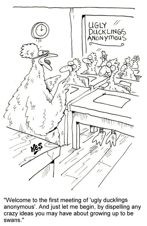 'Welcome to the first meeting of 'ugly ducklings anonymous'. And just let me begin, by dispelling any crazy ideas you may have about growing up to be swans.'