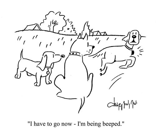 'I have to go now - I'm being beeped.'