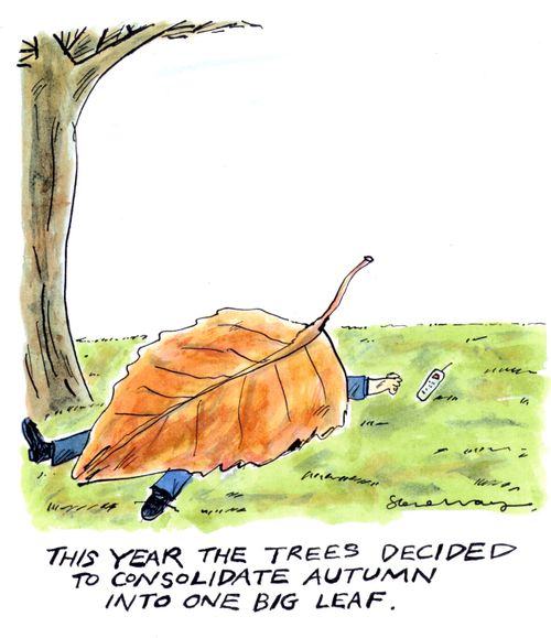 'This year the trees decided to consolidate autumn into one big leaf.'