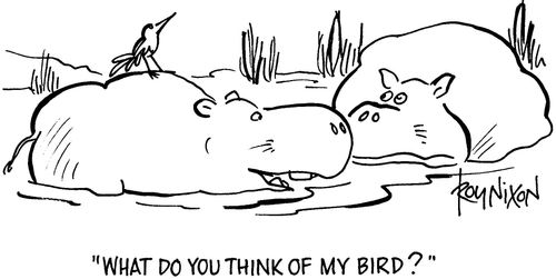 'What do you think of my bird?'