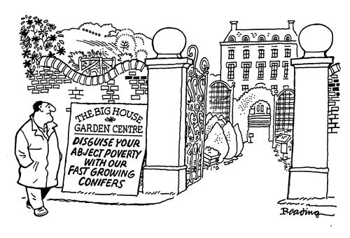 The Big House Garden Centre: Disguise your abject poverty with our fast growing confiers.