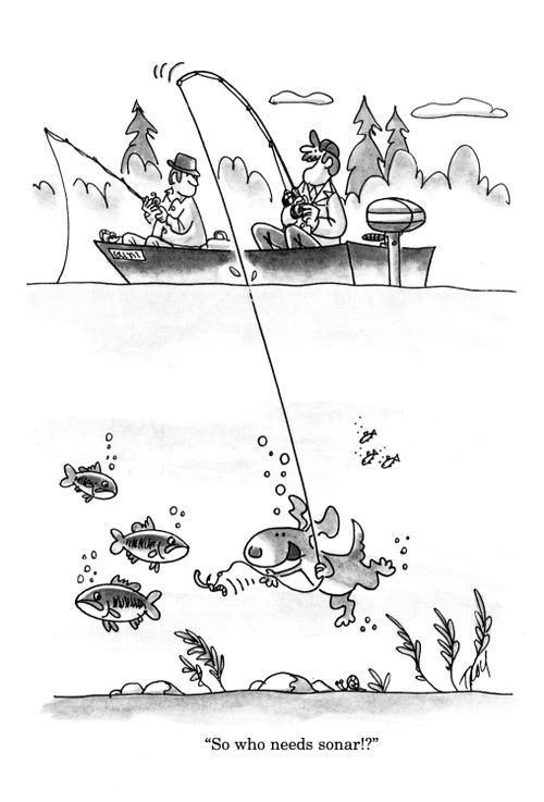 'So who needs sonar?!'