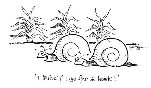 'I think I'll go for a leek!'