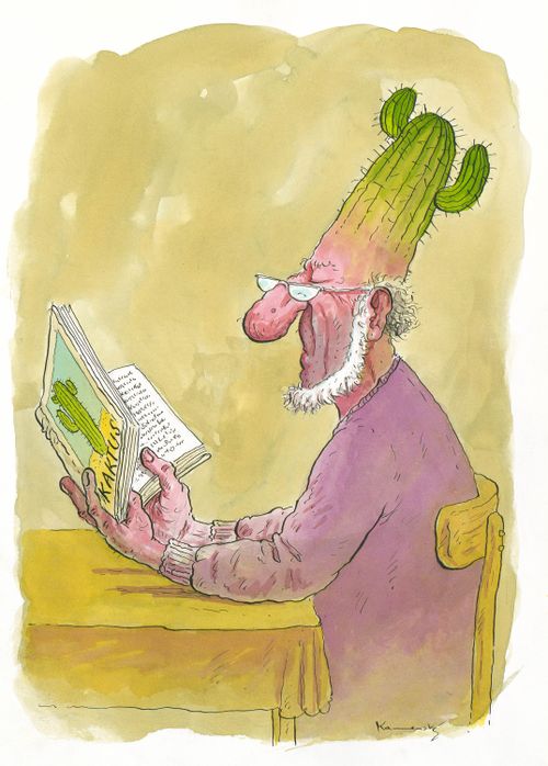 Cactus Man.