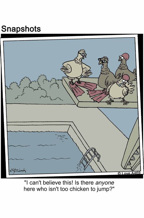 'I can't  believe this! Is there anyone here who isn't too chicken to jump?'