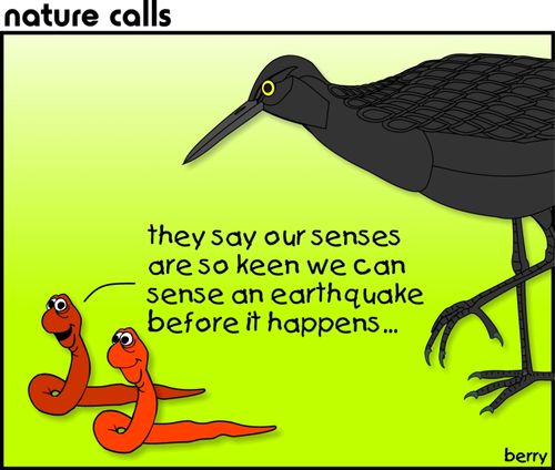 "They say our senses are so keen we can sense an earthquake before it happens..."