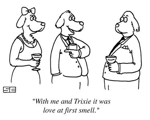 'With me and Trixie it was love at first smell.'