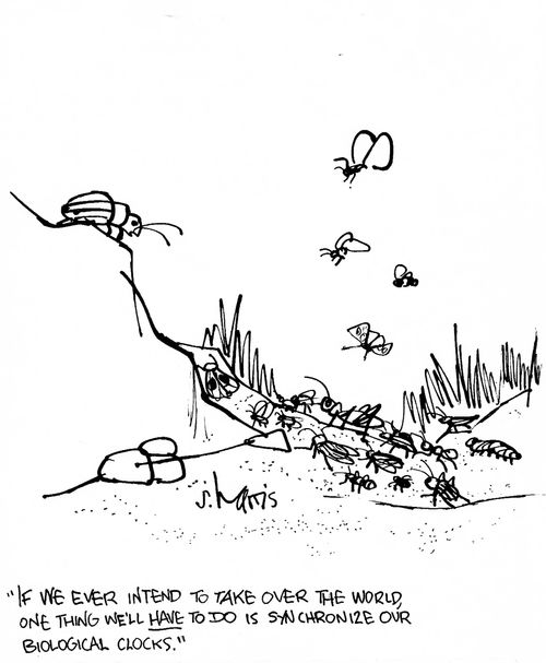 'If we ever intend to take over the world, one thing we'll have to do is synchronize our biological clocks.'