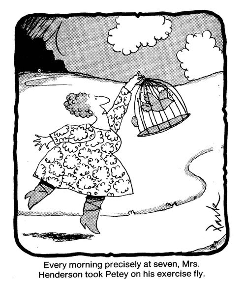 Every Morning Precisely At Seven, Mrs. Henderson Took Petey On His Exercise Fly.