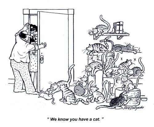 'We know you have a cat.'