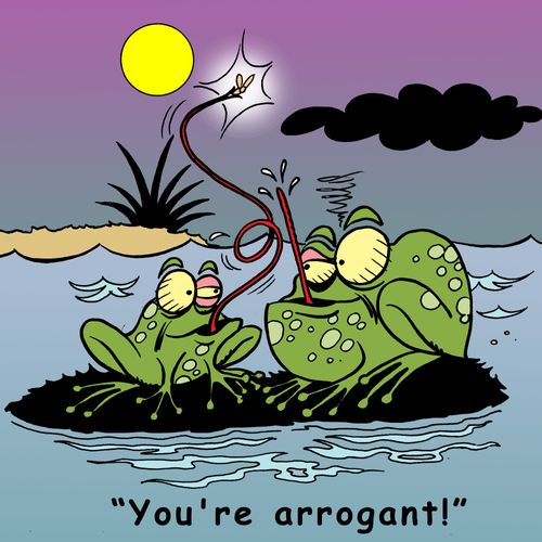 'You're arrogant!'