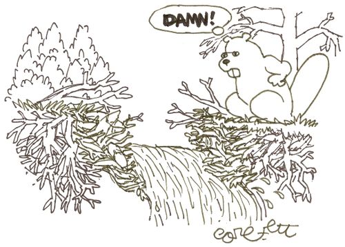 Beaver dam breaks: 'DAMN!'