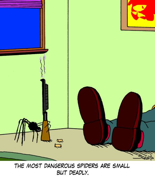 The most dangerous spiders are small but deadly.