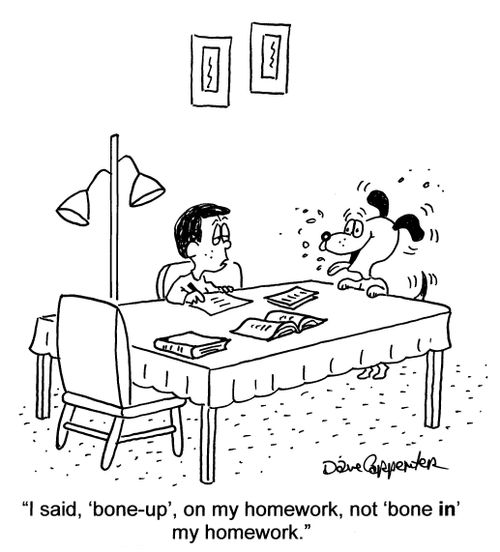 'I said, 'bone-up' on my homework, not 'bone in' my homework.'