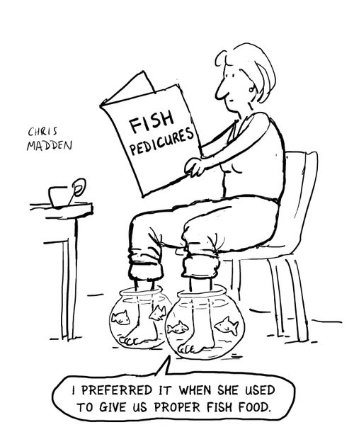 Fish pedicures - a woman with her feet in goldfish bowls, with the fish complaining about what they have to eat since the beauty craze took off.