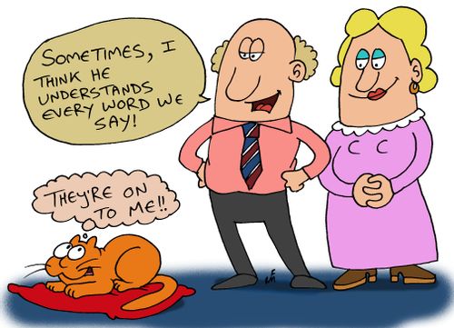 'Sometimes I think he understands every word we say.'