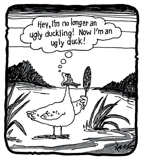 'Hey, I'm no longer an ugly duckling! Now I'm an ugly duck!'