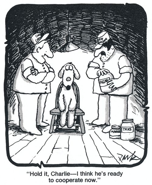 'Hold it, Charlie - I think he's ready to cooperate now.'