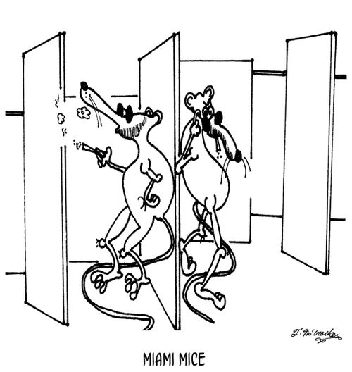 Miami Mice