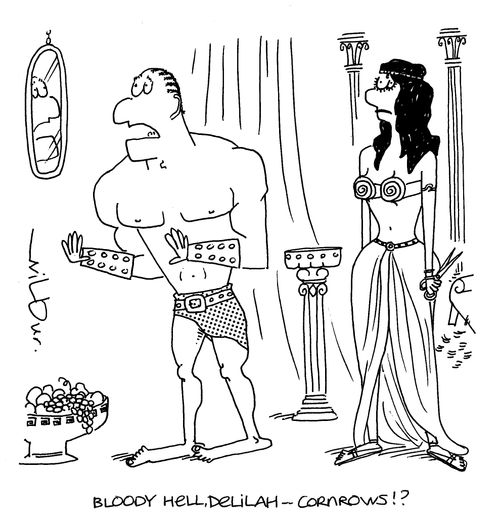 'Bloody hell, Delilah - cornrows!?'