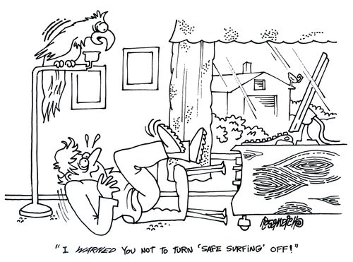 'I warned you not to turn 'safe surfing' off!'