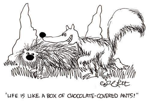 'Life is like a box of chocolate-covered ants!'