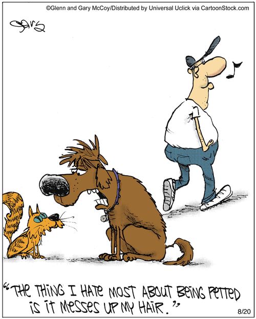 'The thing I hate the most about being petted is it messes up my hair.'
