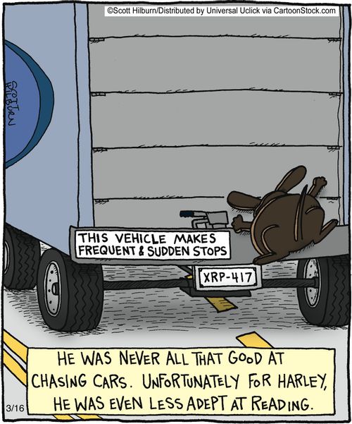 He was never all that good at chasing cars, Unfortunately for Harley, he was even less adept at reading,