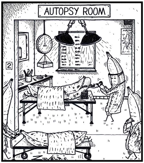 Autopsy Room / a banana autopsy room.