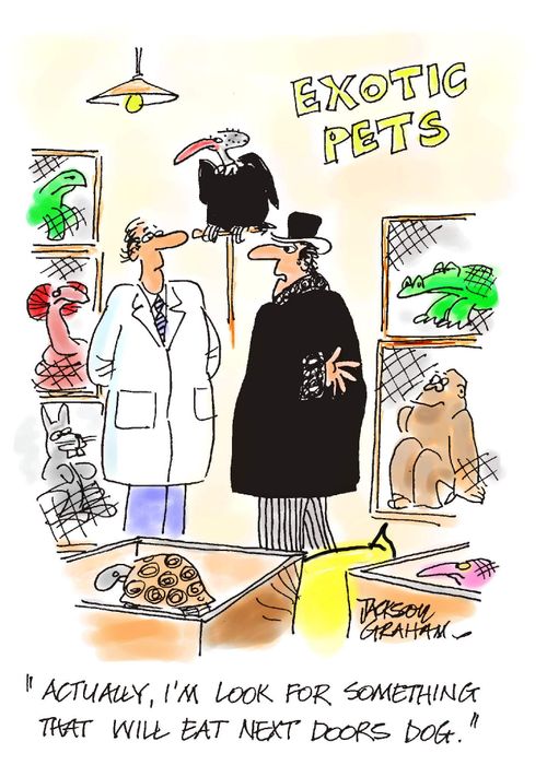 'Actually I'm looking for something that will eat next door's dog.'