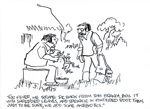 'For fever, we scrape the bark from this branch, boil it with shreeded leaves, and sprinkle in powdered root.  Then, just to be sure, we add some antibiotics.' 