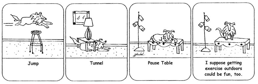 'Jump, Tunnel, Pause Table, I suppose getting exercise outdoors could be fun, too,'