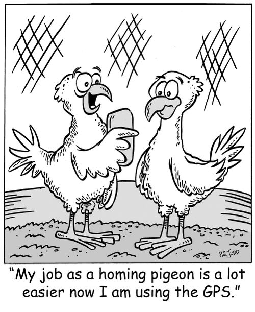 'My job as a carrier pigeon is a lot easier now I am using the GPS.'