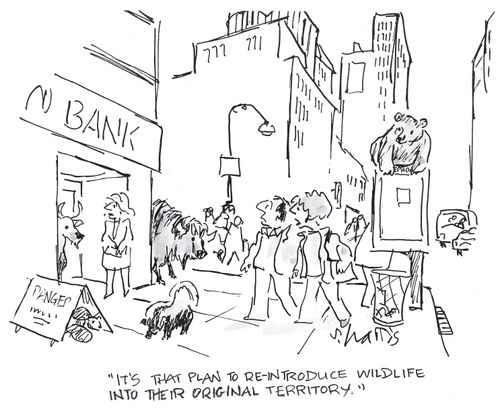 'It's that plan to re-introduce wildlife into their original territory.'