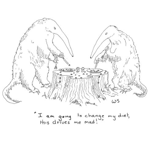 'I am going to change my diet, this drives me mad!'