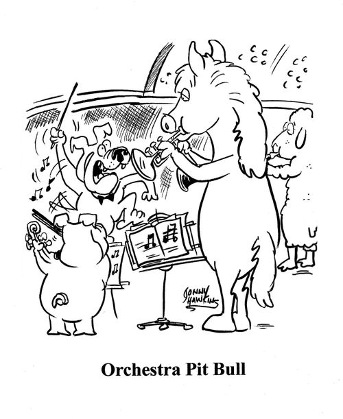'Orchestra Pit Bull.'
