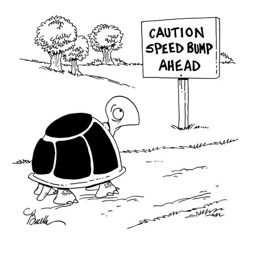 'Caution Speed Bump Ahead.'