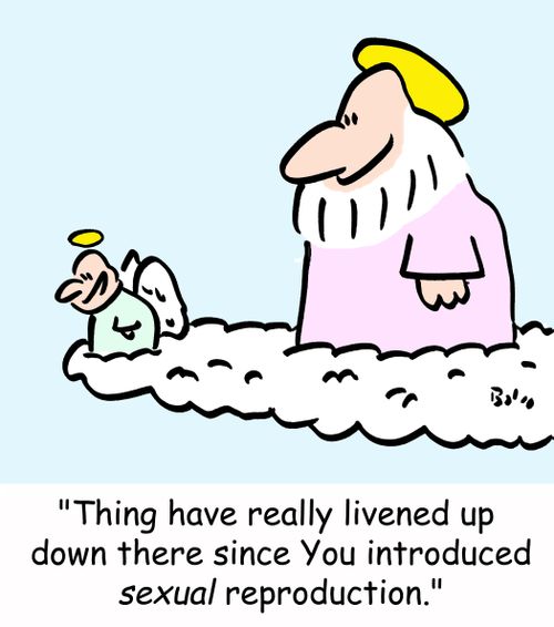 'Things have really livened up down there since You introduced SEXUAL reproduction.'