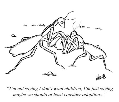 'I'm not saying I don't want children, I'm just saying maybe we should at least consider adoption...'