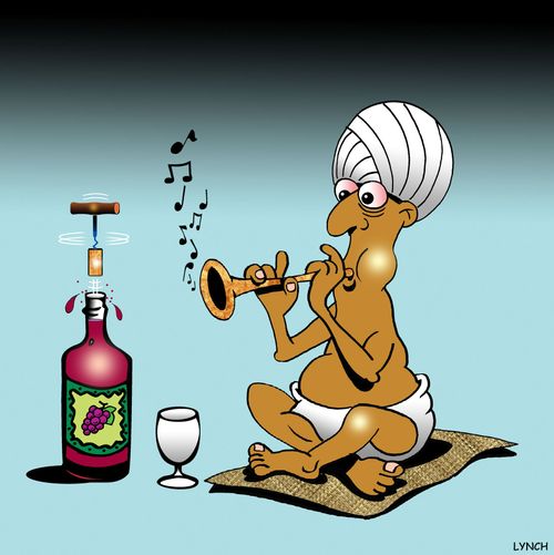 Wine charmer